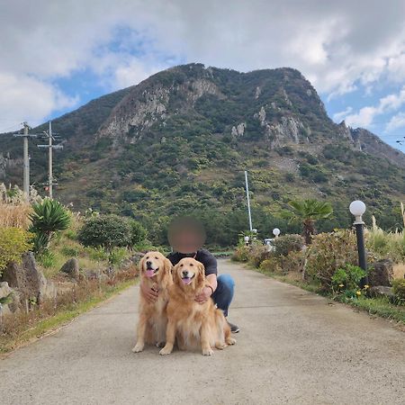 Jeju 542 Pension Согвіпо Екстер'єр фото