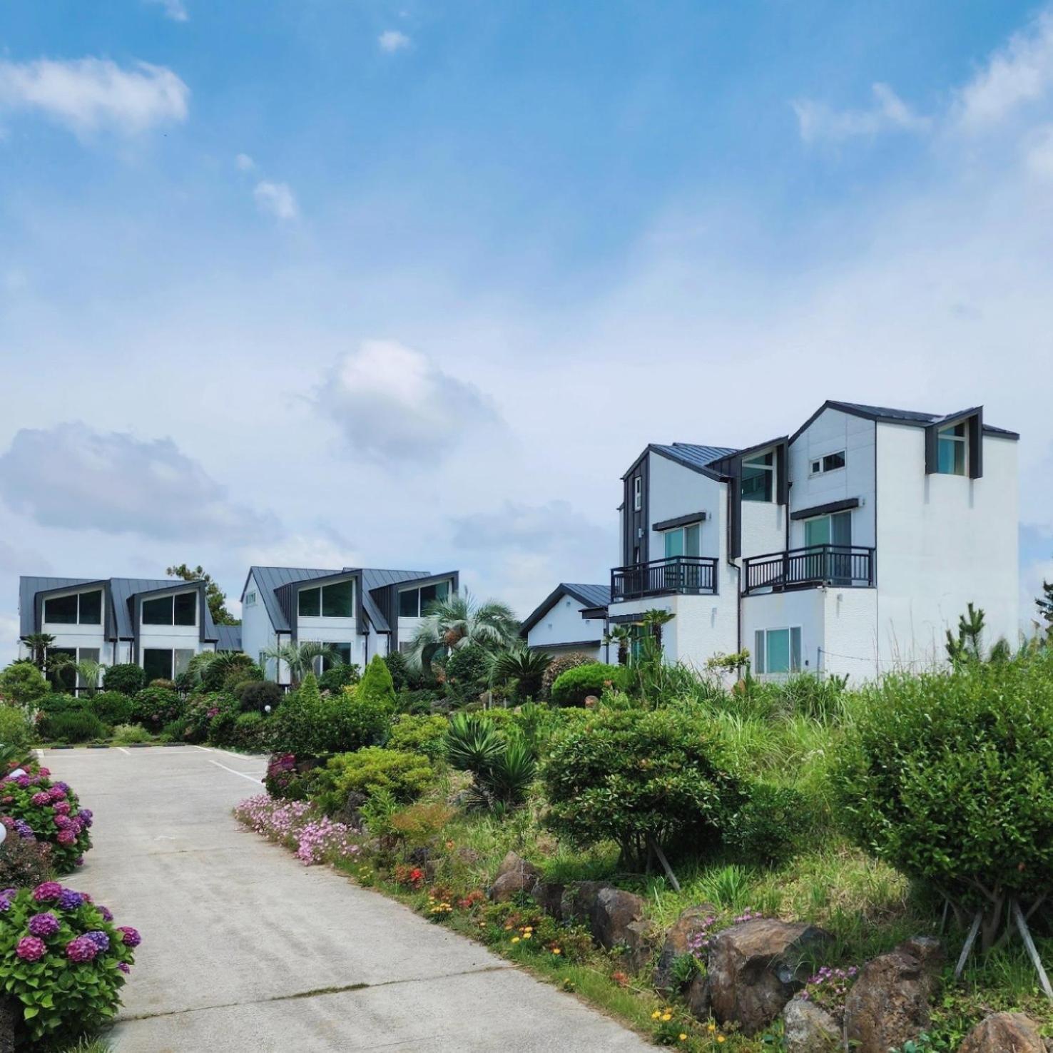 Jeju 542 Pension Согвіпо Екстер'єр фото
